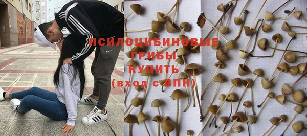 стафф Абаза