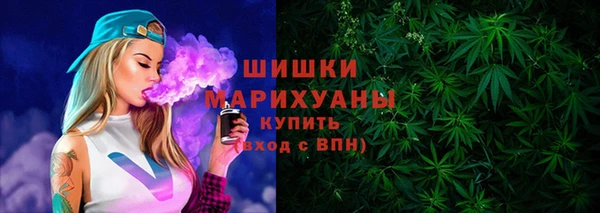 хмурый Липки