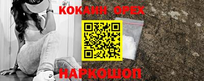 твердый Тара