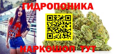 твердый Тара