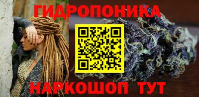 дживик Тверь