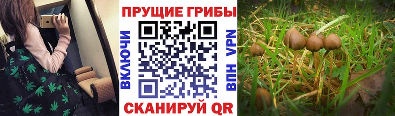 гидра как зайти Омск Псилоцибиновые грибы мухоморы