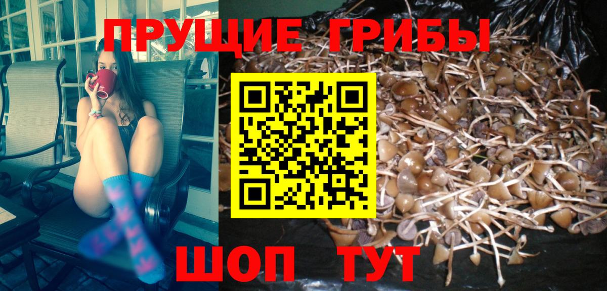Галлюциногенные грибы MAGIC MUSHROOMS  Вход с VPN  Омск 